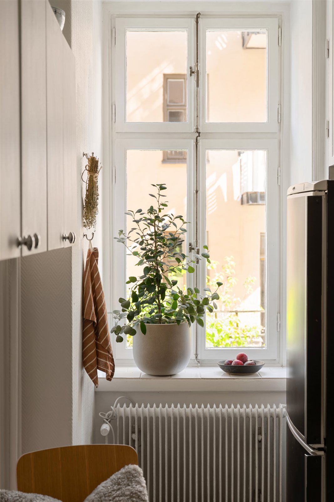 Köksfönster med växt, Roslagsgatan 54